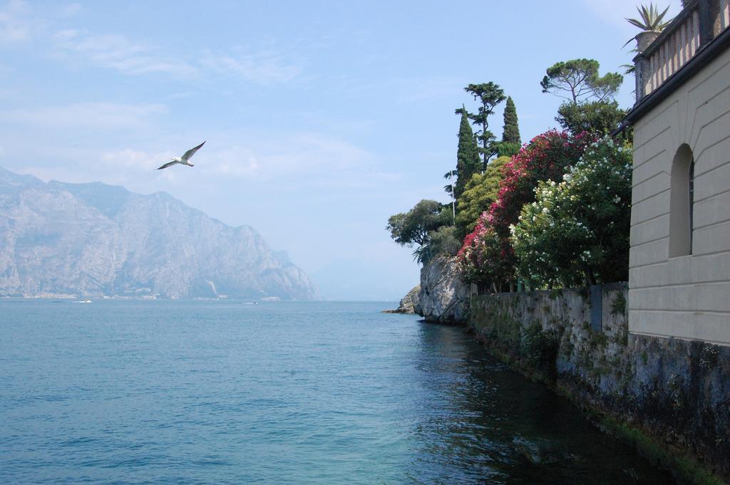 Casella'S Apartments Malcesine Exterior foto